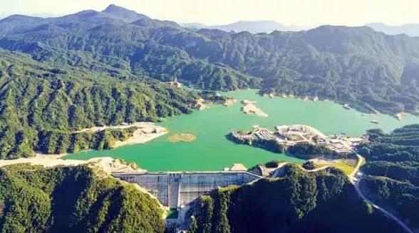 青岛汉缆股份有限公司助力大湾区...